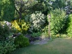 Pond Pond